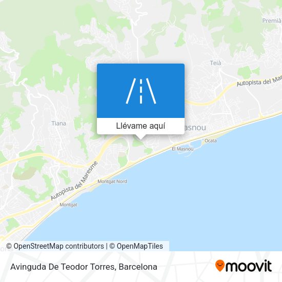 Mapa Avinguda De Teodor Torres