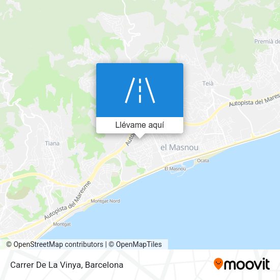 Mapa Carrer De La Vinya