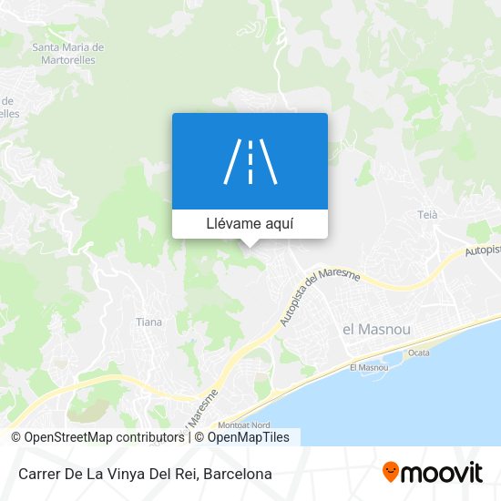 Mapa Carrer De La Vinya Del Rei