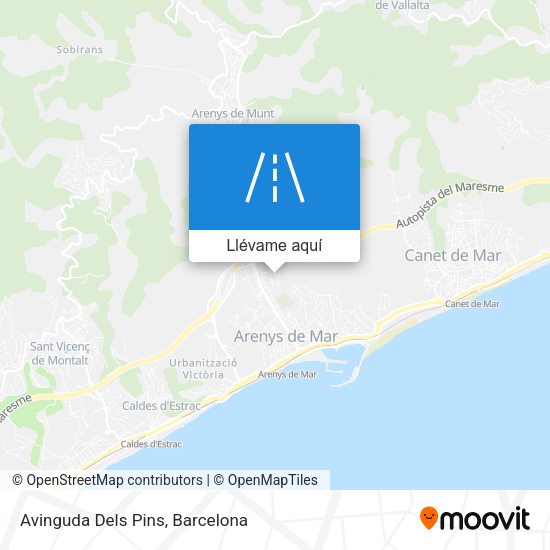 Mapa Avinguda Dels Pins