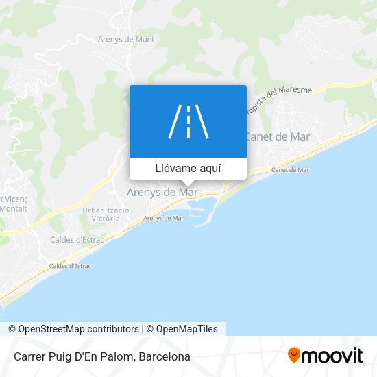 Mapa Carrer Puig D'En Palom
