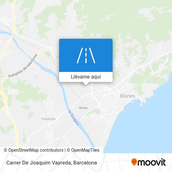Mapa Carrer De Joaquim Vayreda