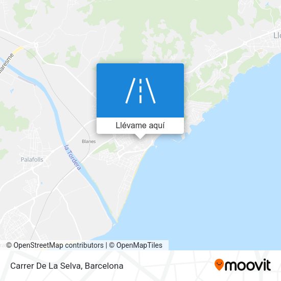 Mapa Carrer De La Selva
