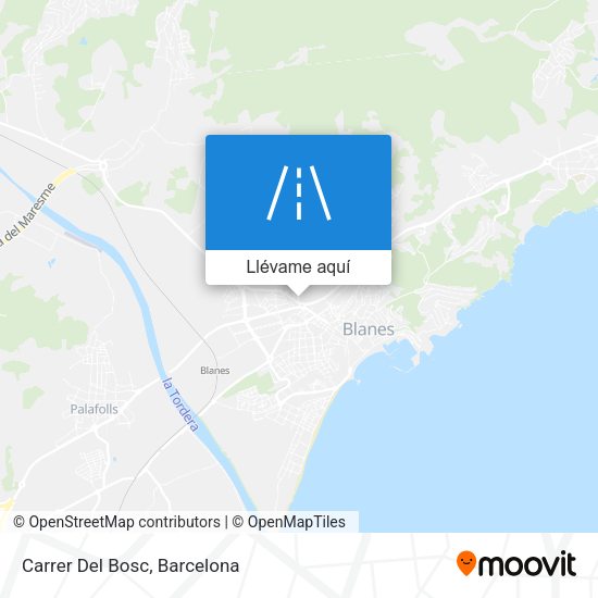 Mapa Carrer Del Bosc