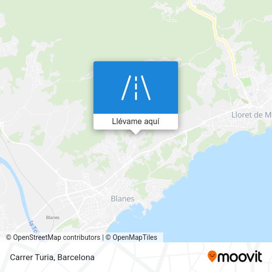 Mapa Carrer Turia