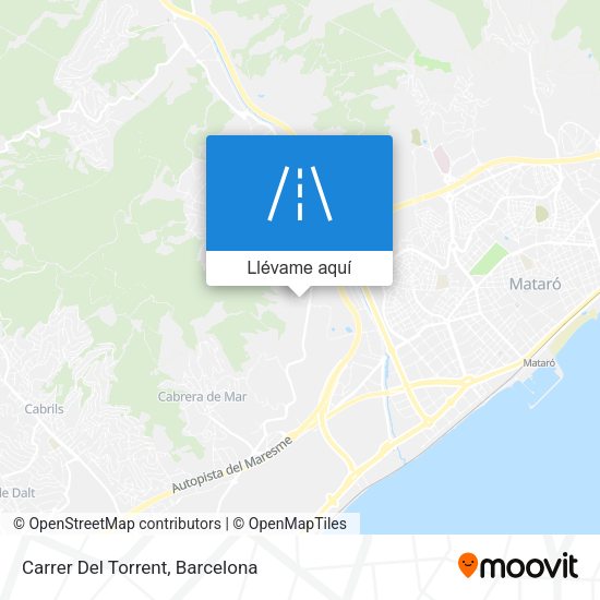 Mapa Carrer Del Torrent