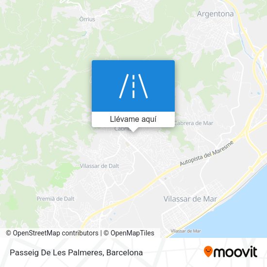 Mapa Passeig De Les Palmeres