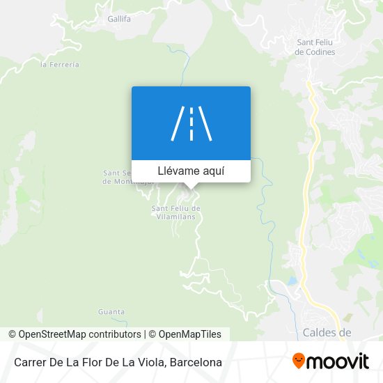 Mapa Carrer De La Flor De La Viola