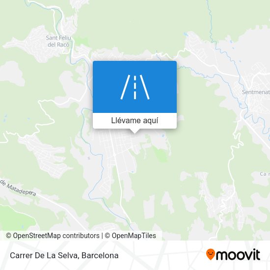 Mapa Carrer De La Selva