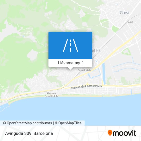Mapa Avinguda 309