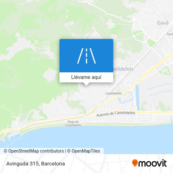 Mapa Avinguda 315