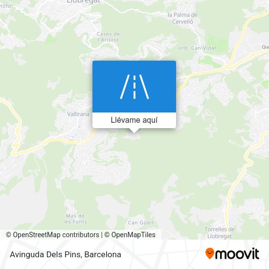 Mapa Avinguda Dels Pins