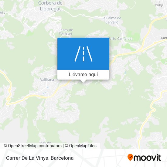Mapa Carrer De La Vinya