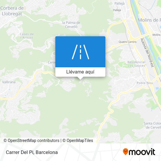 Mapa Carrer Del Pi