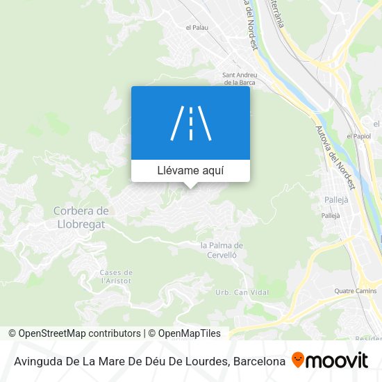 Mapa Avinguda De La Mare De Déu De Lourdes
