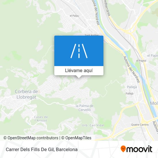 Mapa Carrer Dels Fills De Gil