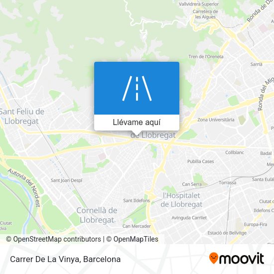 Mapa Carrer De La Vinya