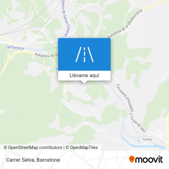 Mapa Carrer Selva