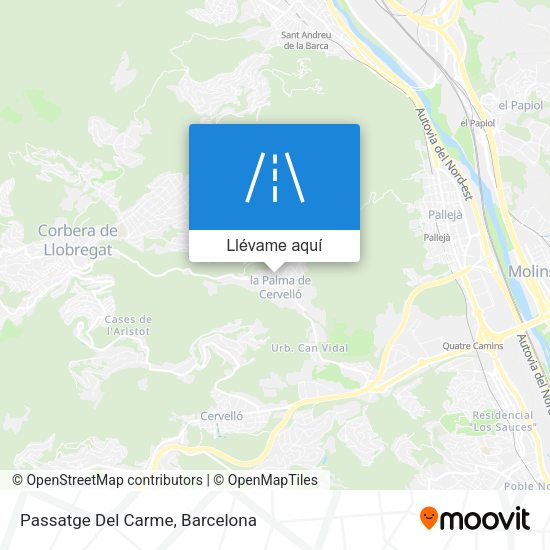 Mapa Passatge Del Carme