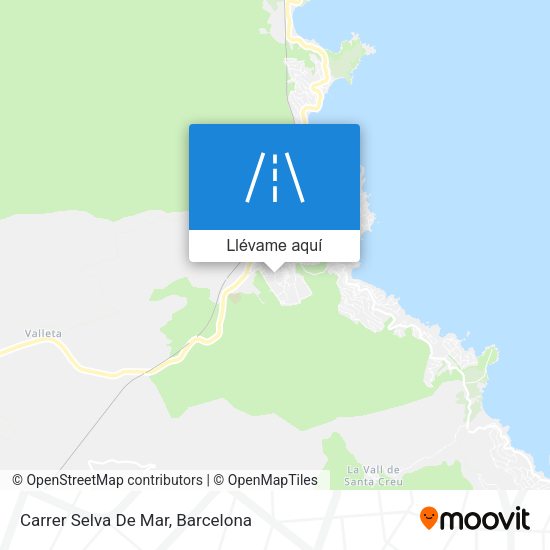 Mapa Carrer Selva De Mar