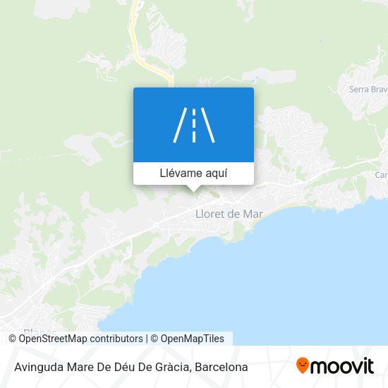Mapa Avinguda Mare De Déu De Gràcia