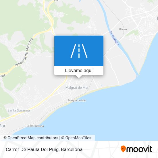 Mapa Carrer De Paula Del Puig