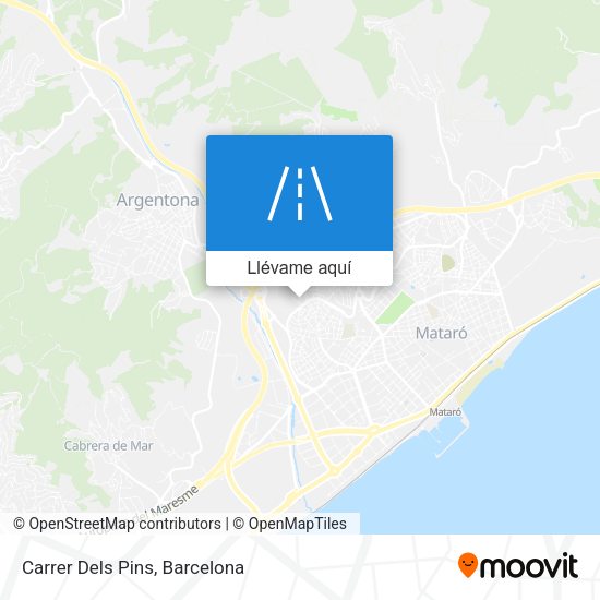 Mapa Carrer Dels Pins