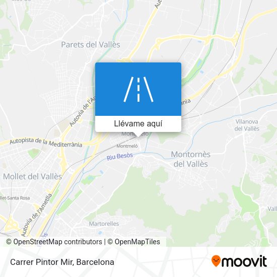 Mapa Carrer Pintor Mir
