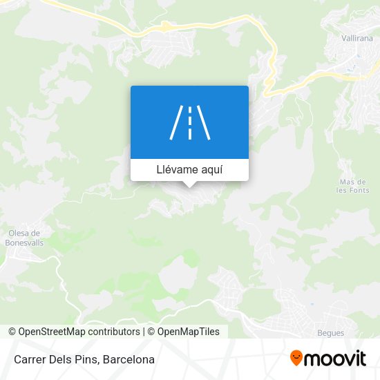 Mapa Carrer Dels Pins