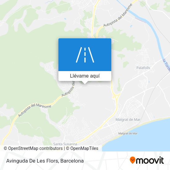Mapa Avinguda De Les Flors