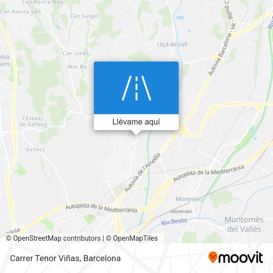 Mapa Carrer Tenor Viñas