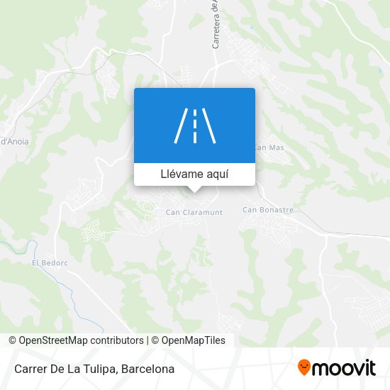 Mapa Carrer De La Tulipa