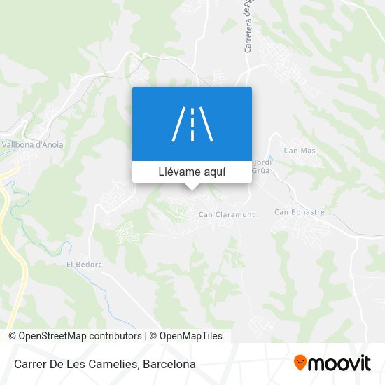 Mapa Carrer De Les Camelies