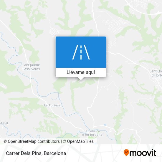 Mapa Carrer Dels Pins