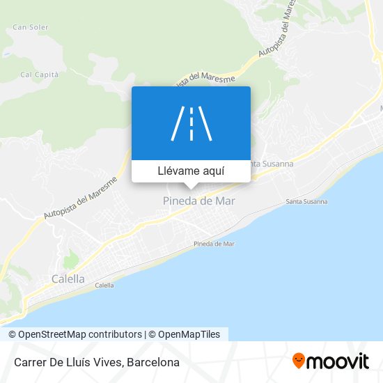 Mapa Carrer De Lluís Vives