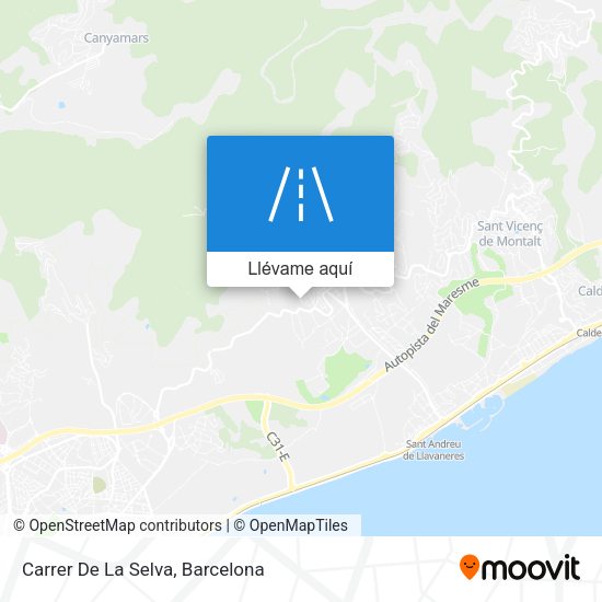Mapa Carrer De La Selva