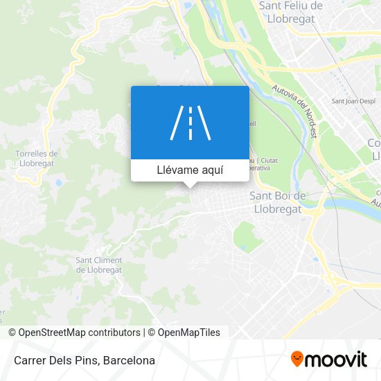 Mapa Carrer Dels Pins