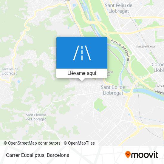 Mapa Carrer Eucaliptus