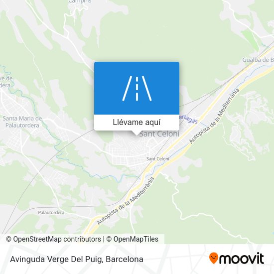 Mapa Avinguda Verge Del Puig