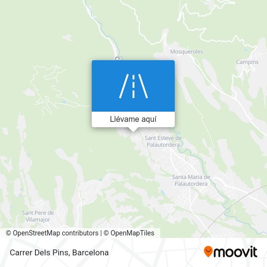 Mapa Carrer Dels Pins