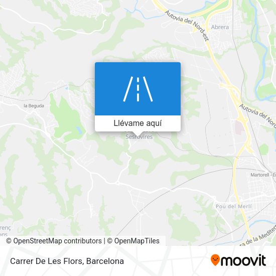 Mapa Carrer De Les Flors
