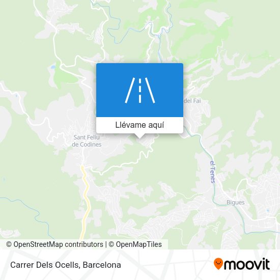 Mapa Carrer Dels Ocells