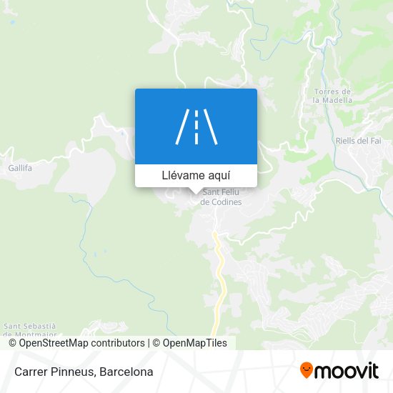 Mapa Carrer Pinneus