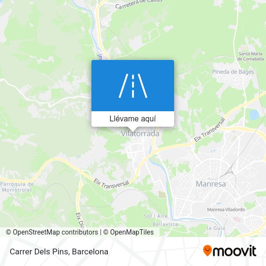 Mapa Carrer Dels Pins