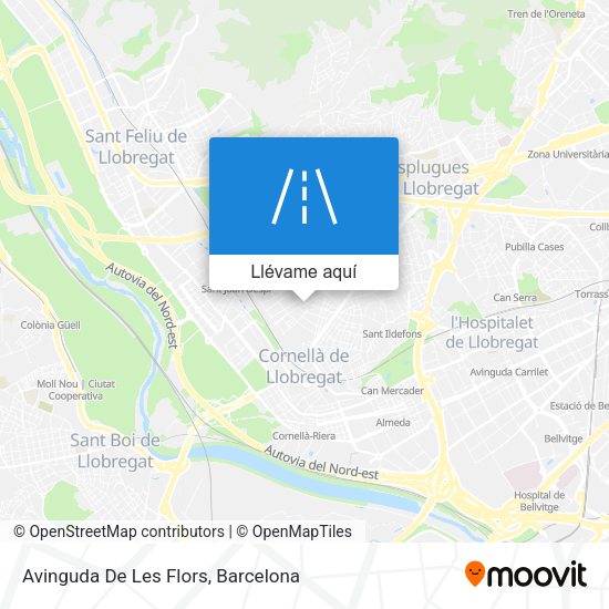 Mapa Avinguda De Les Flors
