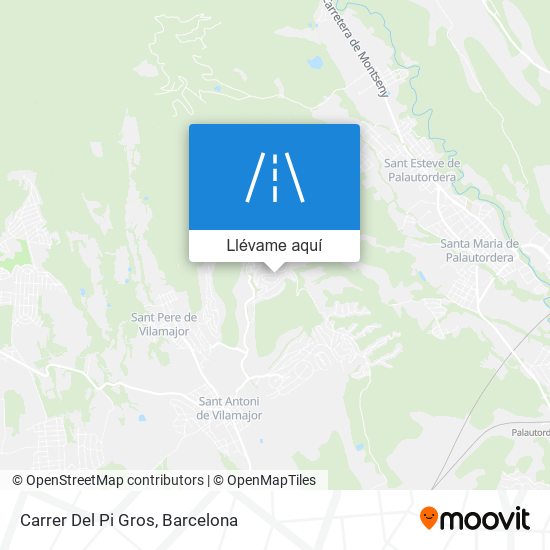Mapa Carrer Del Pi Gros