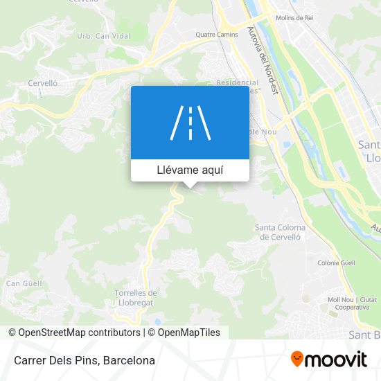Mapa Carrer Dels Pins
