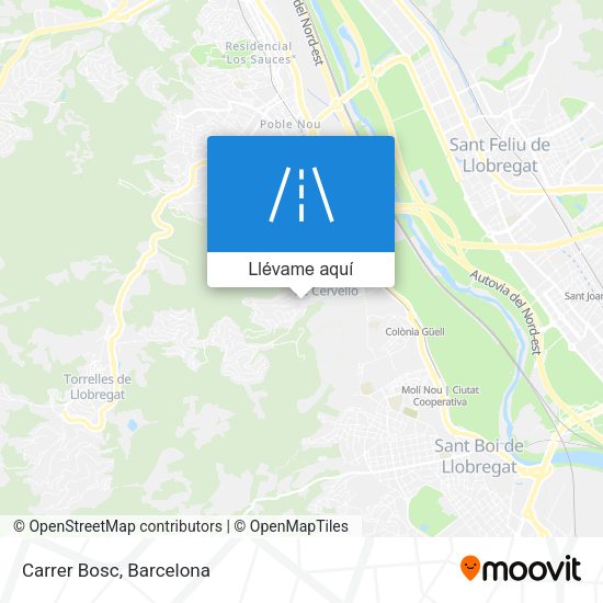 Mapa Carrer Bosc