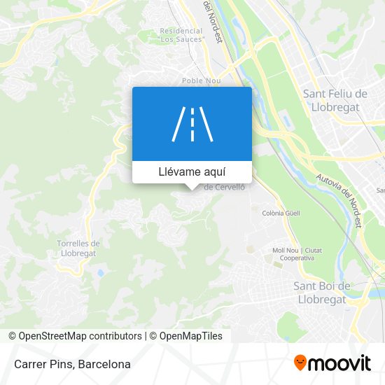Mapa Carrer Pins