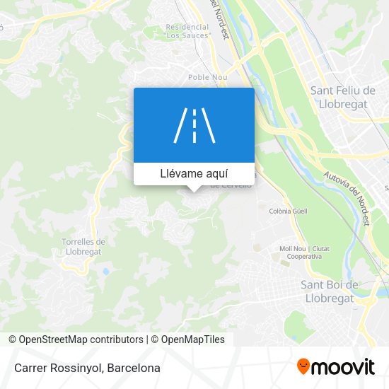 Mapa Carrer Rossinyol